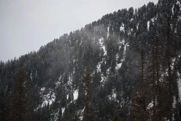 Βουνά - Ζακοπάνε το χειμώνα - μονόχρωμα — Φωτογραφία Αρχείου