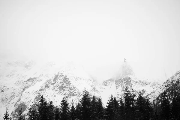山 - 冬のザコパネ - モノクロ — ストック写真
