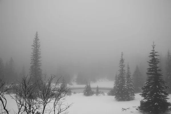 Montagnes - Zakopane en hiver - monochrome — Photo