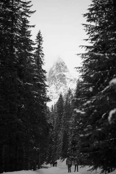 Montagnes - Zakopane en hiver - monochrome — Photo