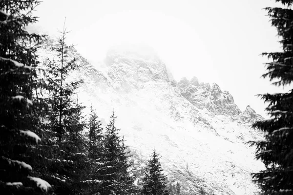 Hegyek - Zakopane télen - fekete-fehér — Stock Fotó