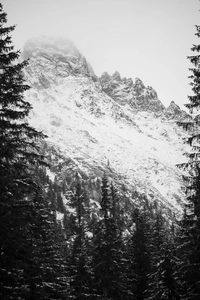 Hegyek - Zakopane télen - fekete-fehér — Stock Fotó