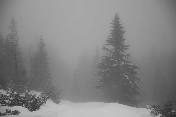 Montagnes - Zakopane en hiver - monochrome — Photo