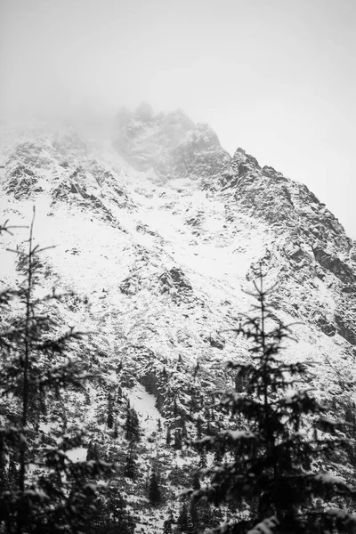 Montagnes - Zakopane en hiver - monochrome — Photo