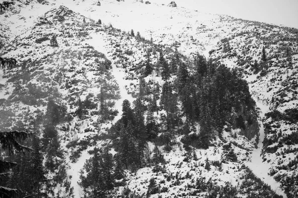 山 - 冬のザコパネ - モノクロ ロイヤリティフリーのストック画像