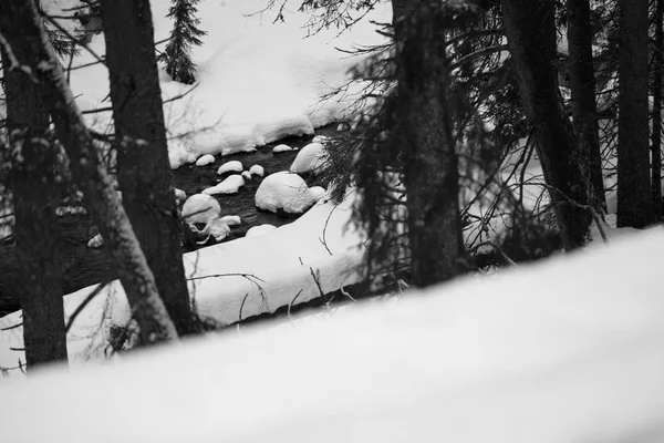 山 - 冬のザコパネ - モノクロ ストック画像