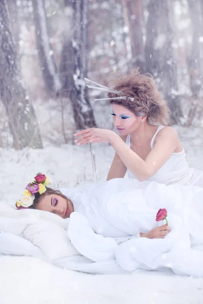 Regina della neve e signora primavera . — Foto Stock