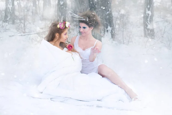 雪と夫人春の女王. ストック画像
