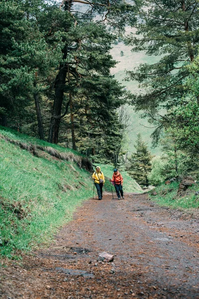 Dağlarda yürüyüş yapan insanlar — Stok fotoğraf