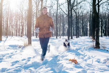 Sibirya husky köpek karlı Park ile oynarken adam