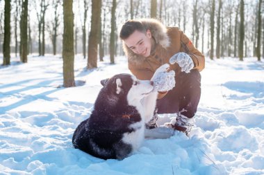 Sibirya husky köpek karlı Park ile oynarken adam