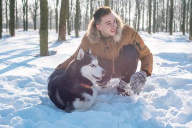 Sibirya husky köpek karlı Park ile oynarken adam