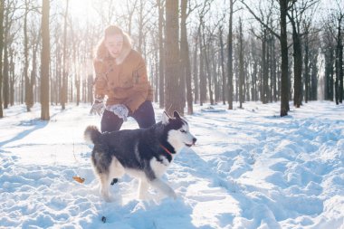 Sibirya husky köpek karlı Park ile oynarken adam