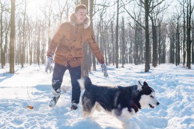 Sibirya husky köpek karlı Park ile oynarken adam