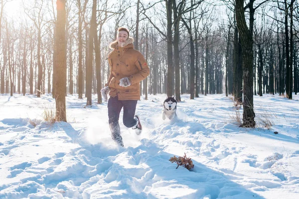 Mies leikkii Siperian husky koira luminen puisto — kuvapankkivalokuva