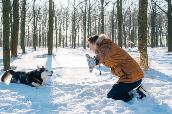 Człowiek z psem husky syberyjski w snowy park — Zdjęcie stockowe