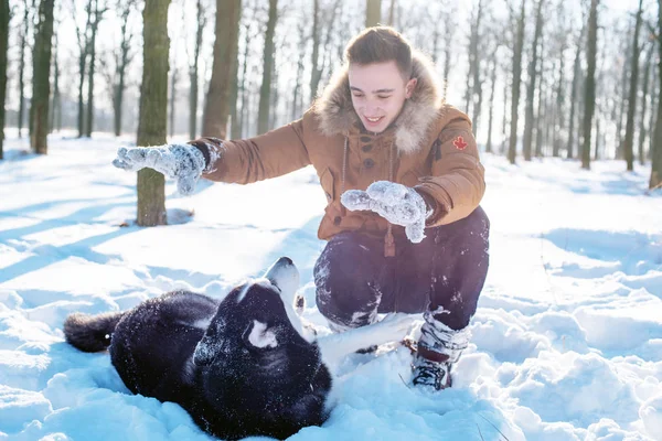 Mies leikkii Siperian husky koira luminen puisto — kuvapankkivalokuva