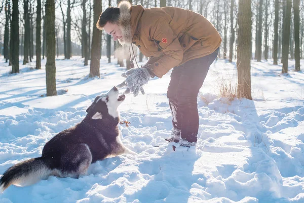 Człowiek z psem husky syberyjski w snowy park — Zdjęcie stockowe