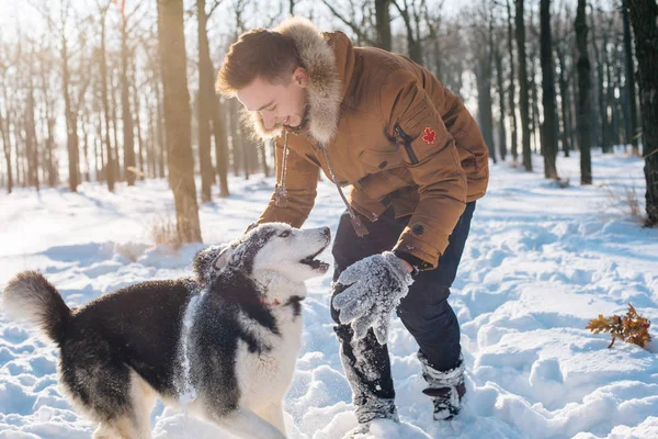 Homme jouant avec chien husky sibérien dans un parc enneigé — Photo