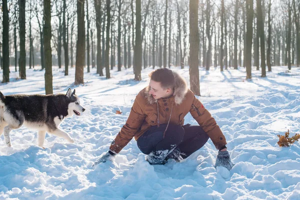Мужчина играет с сибирской хаски-собакой в снежном парке — стоковое фото