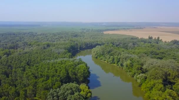 Vista Aérea Hermosa Zona Rural Con Río Bosque — Vídeo de stock