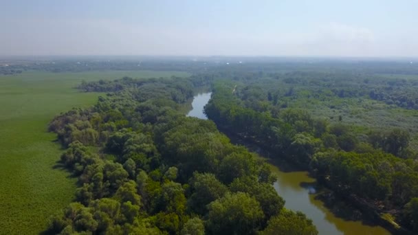 Αεροφωτογραφία Της Περιοχής Όμορφο Αγροτικό Τοπίο Ποτάμι Και Δάσος — Αρχείο Βίντεο