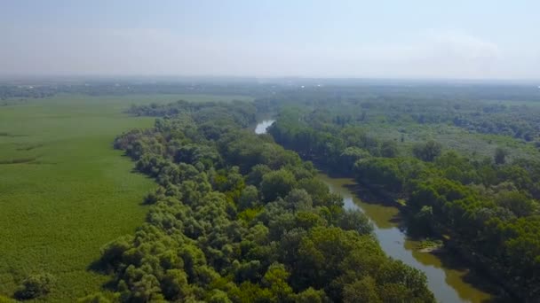 Letecký Pohled Krásné Venkovské Krajině Oblasti Řeky Lesa — Stock video