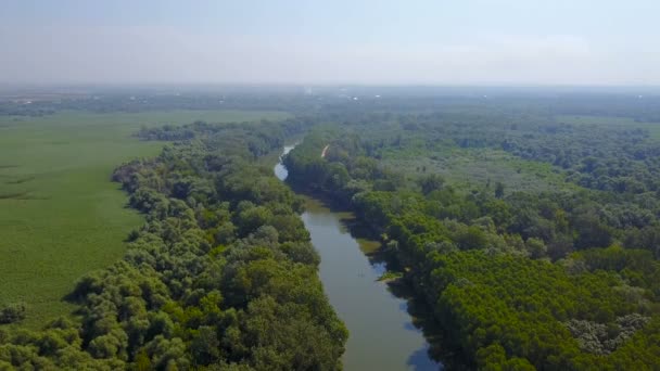 Vue Aérienne Belle Campagne Rurale Avec Rivière Forêt — Video