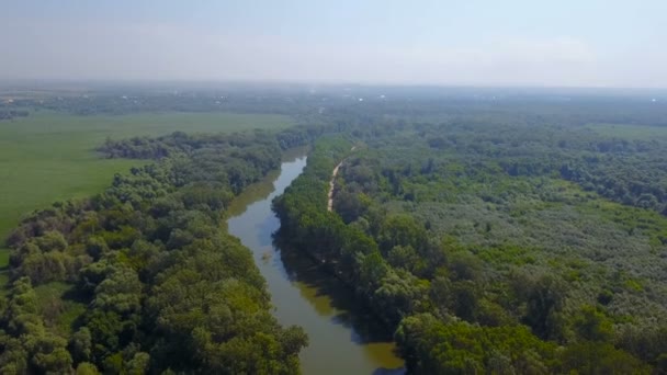 Vista Aérea Hermosa Zona Rural Con Río Bosque — Vídeos de Stock