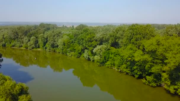 Vista Aerea Bella Campagna Rurale Con Fiume Foresta — Video Stock