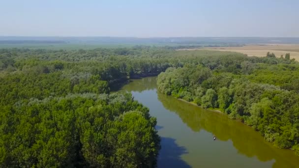 Vista Aérea Hermosa Zona Rural Con Río Bosque — Vídeo de stock