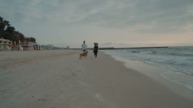 husky köpek ile eğleniyor kumsalda genç mutlu çift