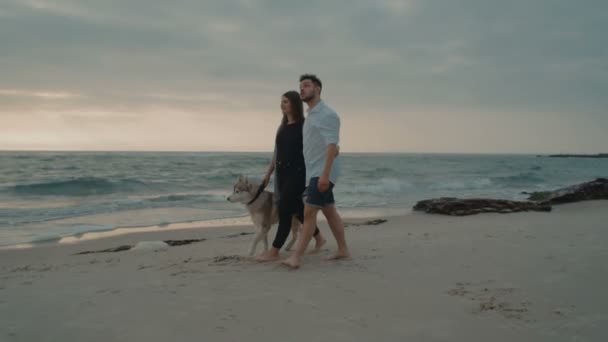 Jovem Casal Feliz Andando Praia Com Cão — Vídeo de Stock