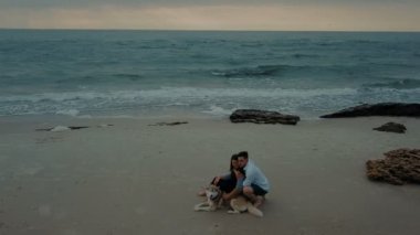 husky köpek ile sahilde yürüyen genç mutlu çiftin havadan görünümü