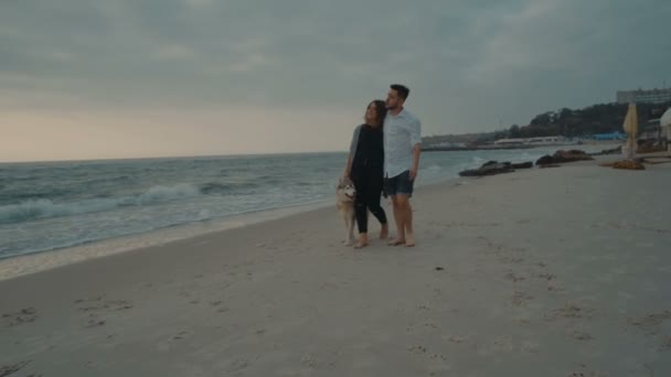 犬とビーチの上を歩く若い幸せなカップル — ストック動画
