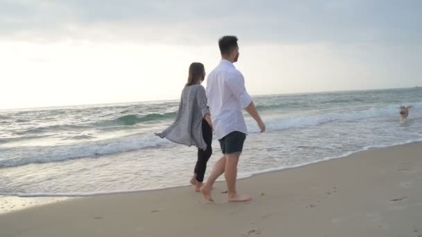 Młoda Szczęśliwa Para Spaceru Plaży — Wideo stockowe