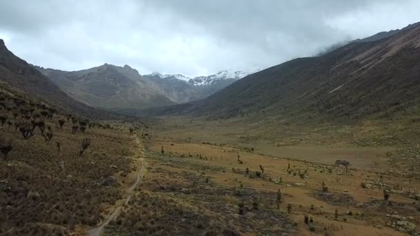 Вид Воздуха Красивую Долину Горах Кении Запись Дрона Национального Парка — стоковое видео