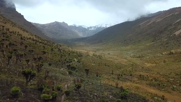 Kenya Dağlarında Güzel Vadi Hava Görünümünü Kenya Dağı Milli Parkı — Stok video