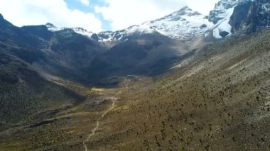 Havadan görünümü güzel etli orman Kenya dağlarında. Kenya Dağı Milli Parkı dron görüntüleri