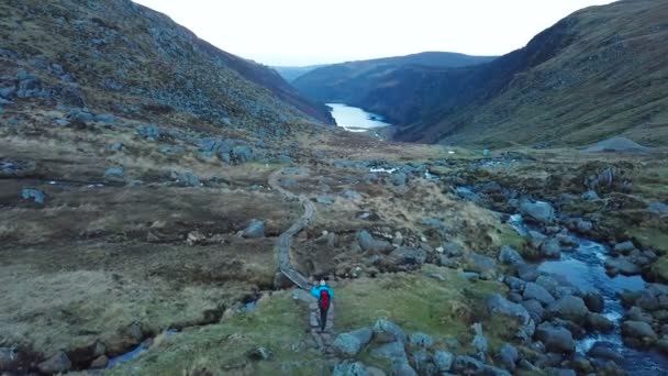 アイルランド ウィックロー山地の川の近くハイキング バックパック女性ハイカーの航空写真 — ストック動画