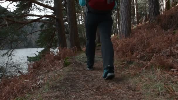 湖の近くの森でのハイキングのバックパックと若いカップル — ストック動画