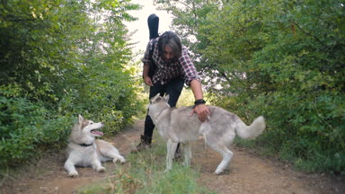adam gitar ormandaki iki siberian dış yapraklar köpeklerle ile