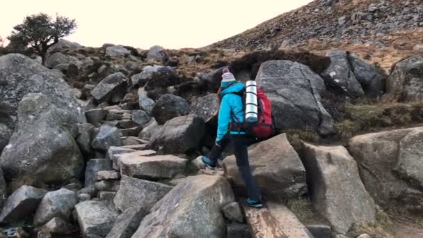 アイルランド ウィックロー山地の川の近くハイキング バックパック女性ハイカー — ストック動画