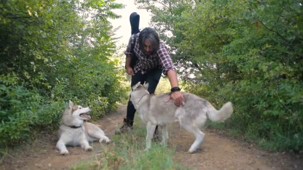 Mann Mit Gitarre Spielt Mit Zwei Sibirischen Huskyhunden Wald — Stockvideo