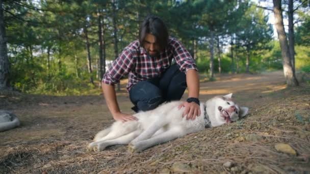 Jonge Wandelaar Mannetje Spelen Met Siberische Husky Hond Het Bos — Stockvideo