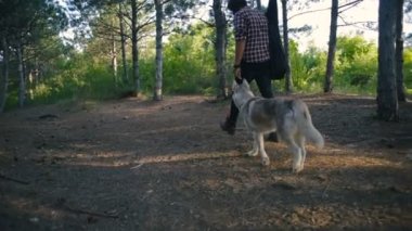adam gitar ile Sibirya husky köpek ormanda yürüyüş ile