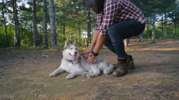 森でシベリアン ハスキー犬と遊ぶ若いハイカーの男性 — ストック動画