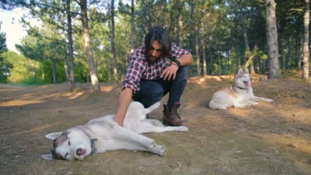 森でシベリアン ハスキー犬と遊ぶ若いハイカーの男性 — ストック動画