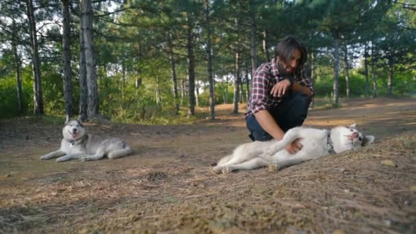 森でシベリアン ハスキー犬と遊ぶ若いハイカーの男性 — ストック動画
