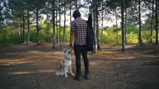 人与吉他步行与西伯利亚沙哑的狗在森林里 — 图库视频影像